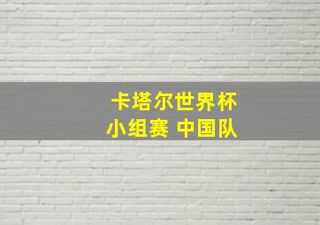 卡塔尔世界杯小组赛 中国队